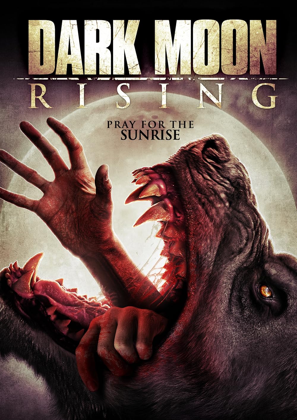 Dark Moon Rising 