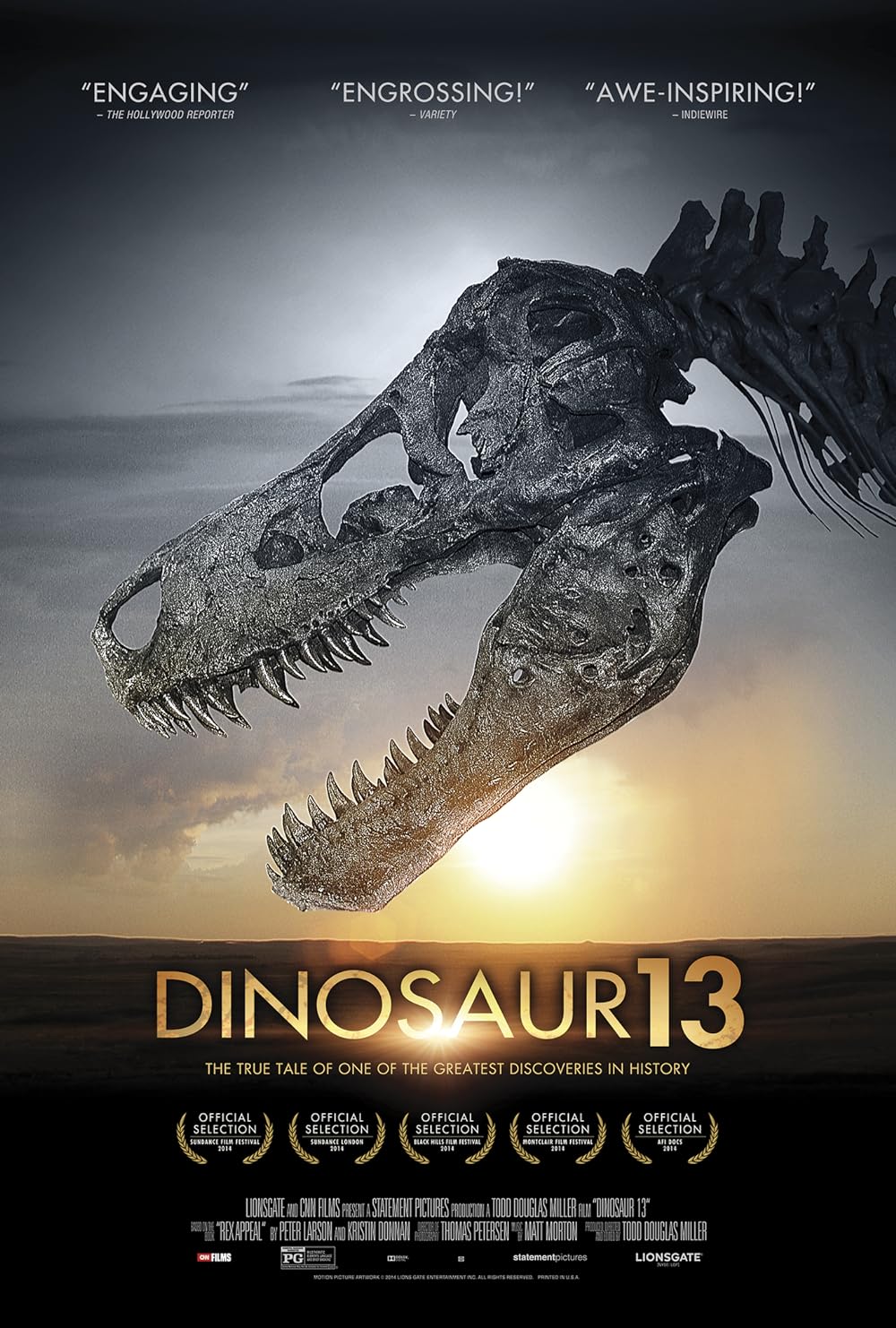 Dinosaur 13 