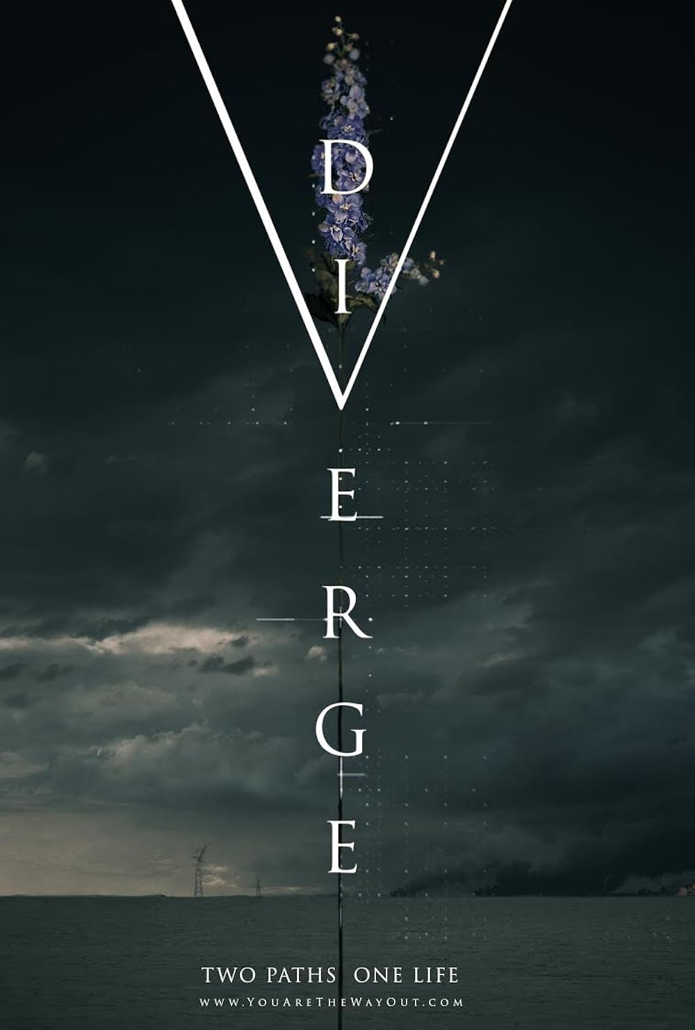Diverge 
