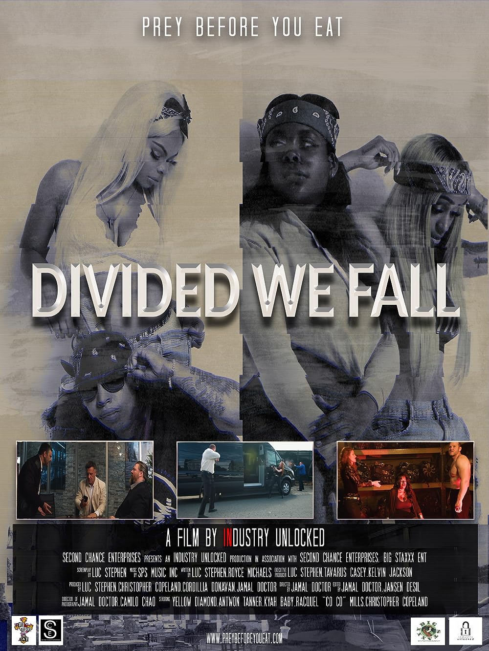 Divided We Fall 
