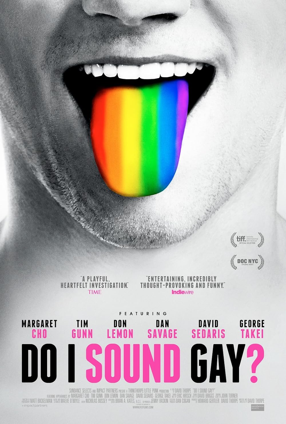 Do I Sound Gay? 