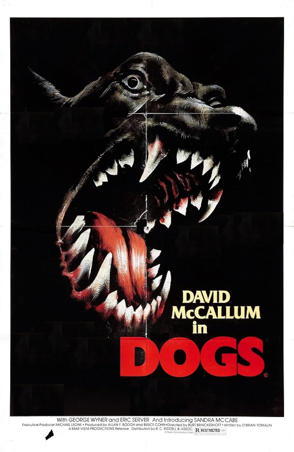 Dogs 