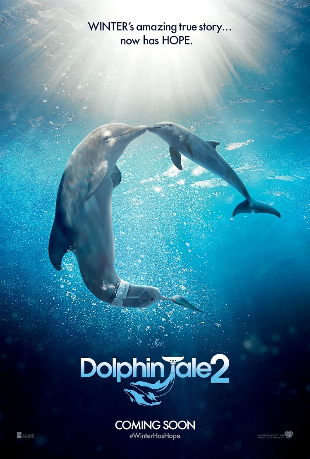 Dolphin Tale 2 