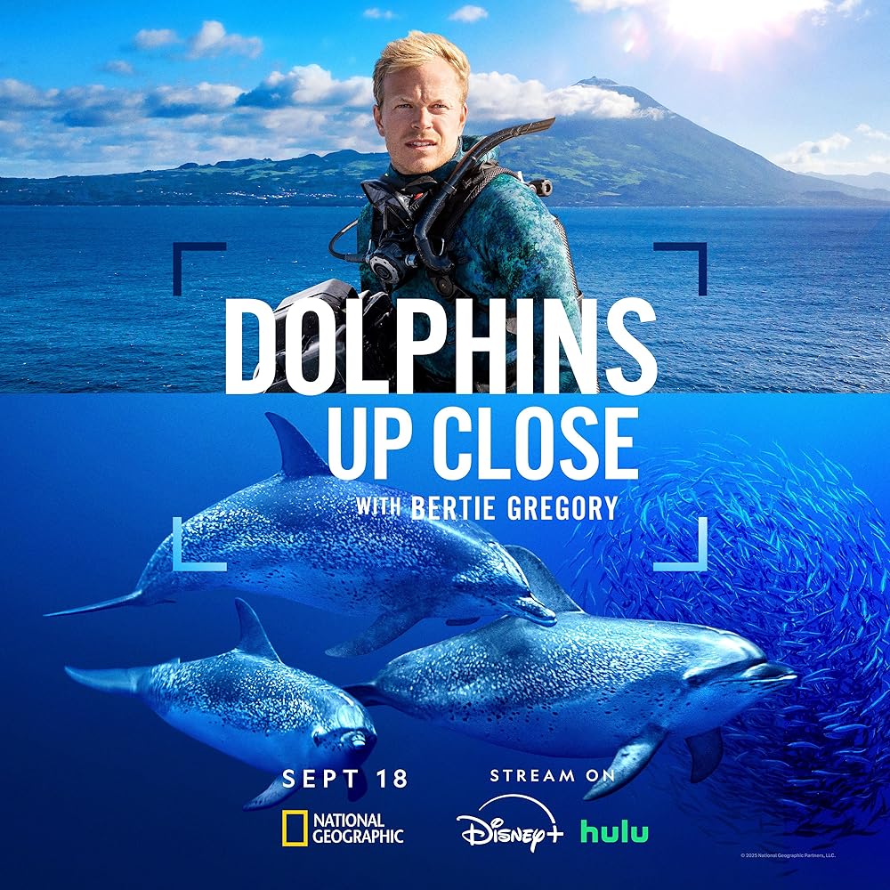 Dolphins Up Close with Bertie Gregory 