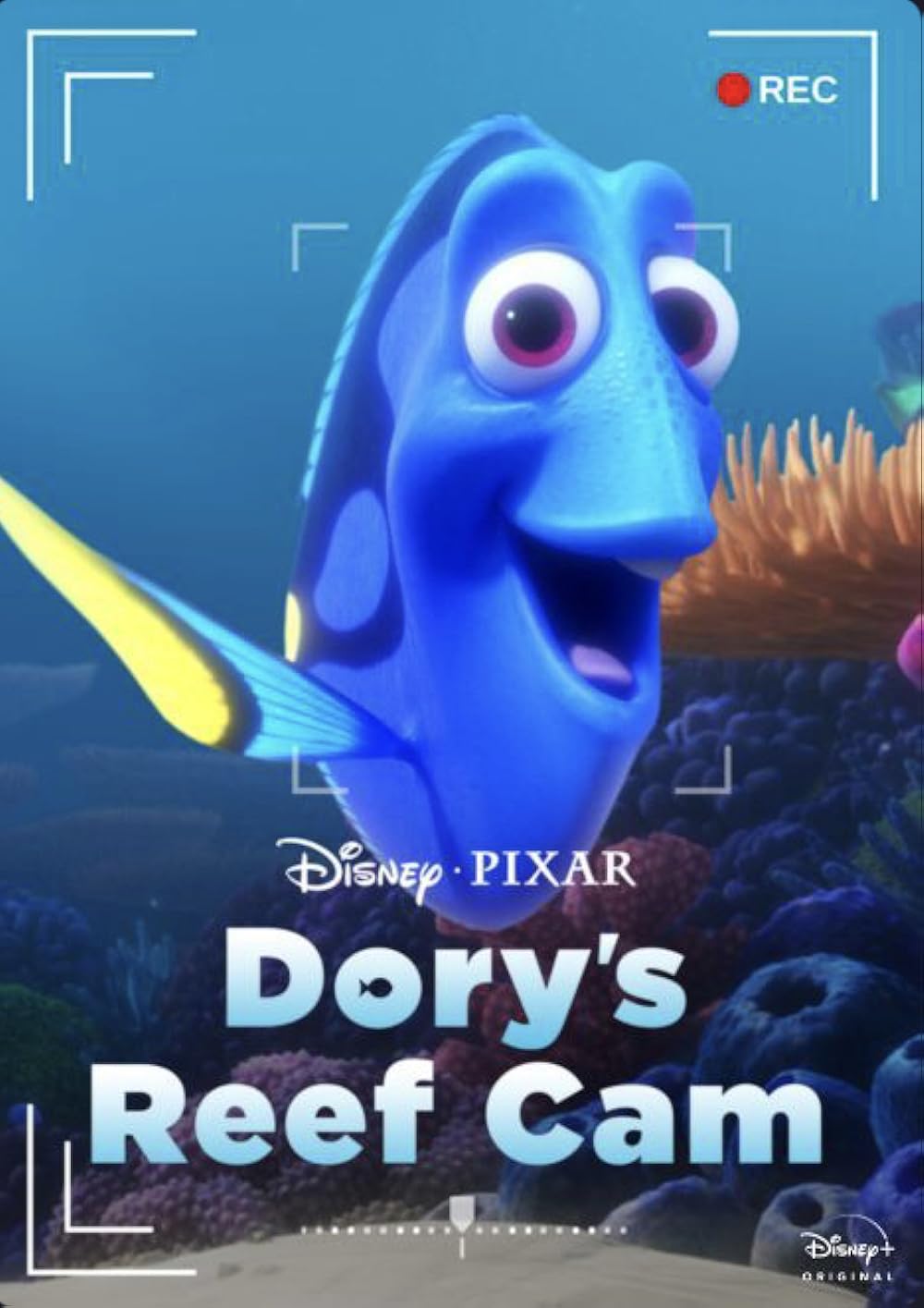 Dory's Reef Cam 