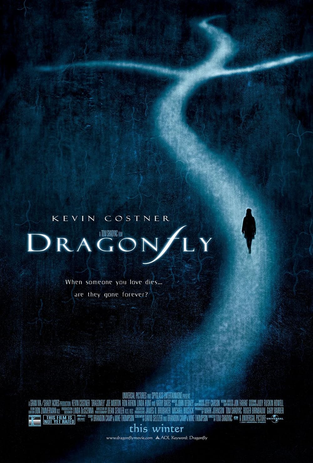 Dragonfly 