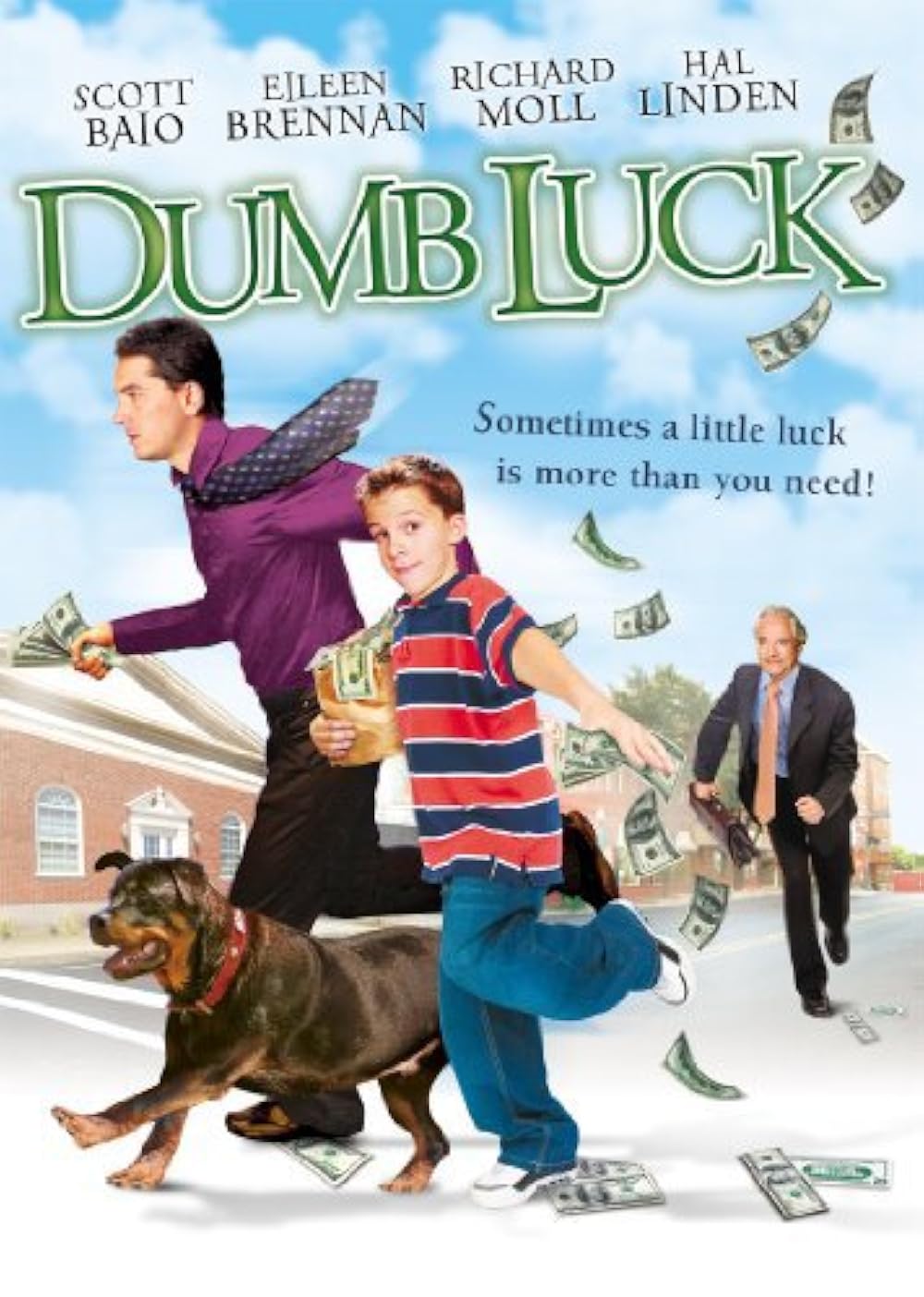 Dumb Luck 