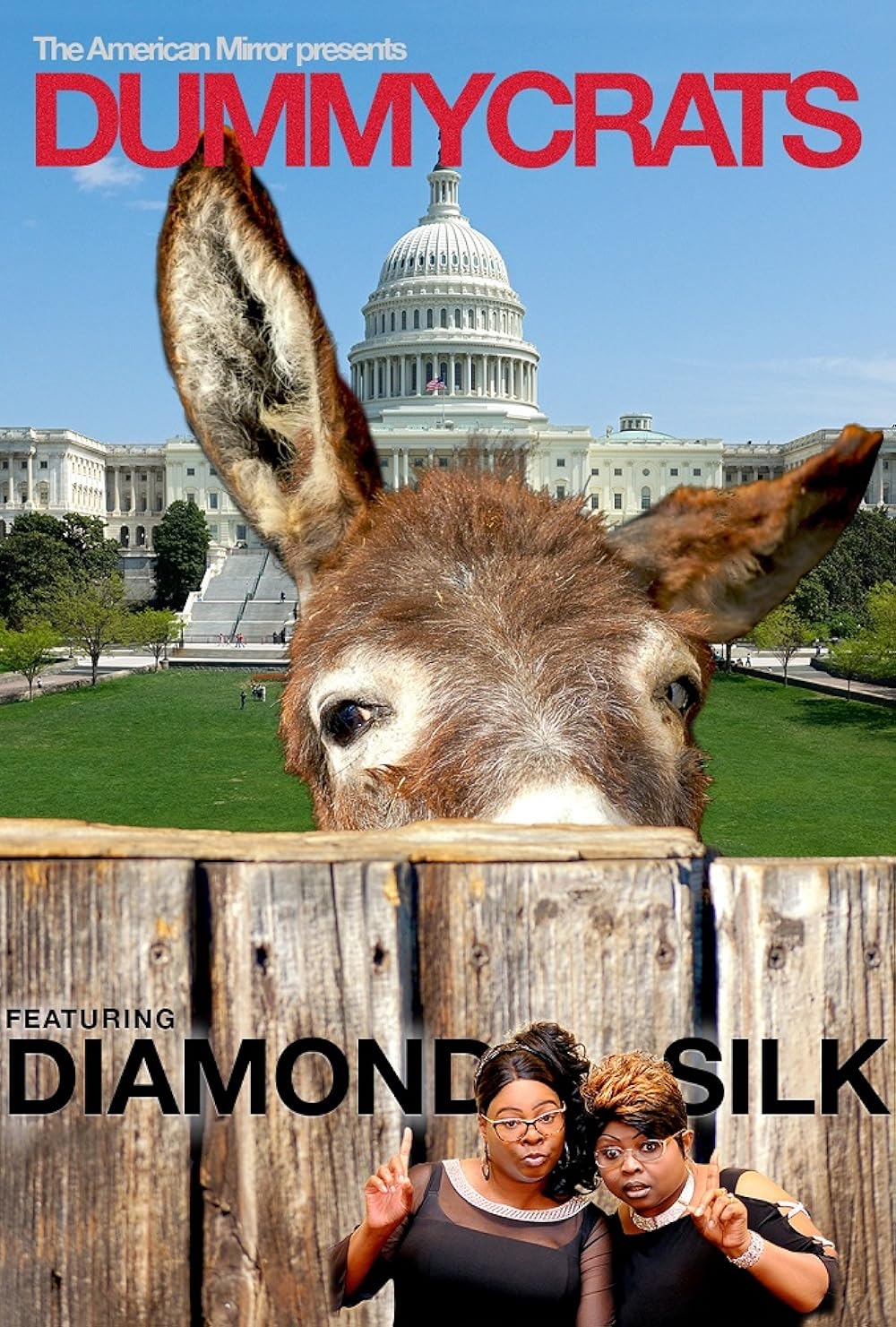 Dummycrats 