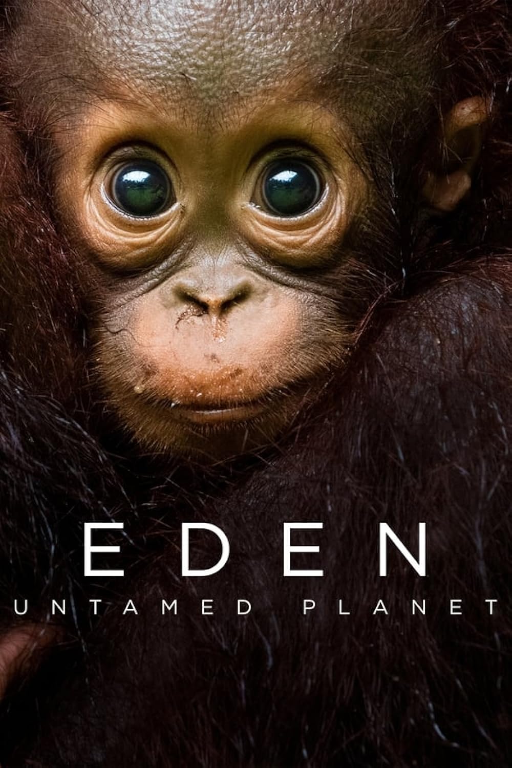 Eden: Untamed Planet 