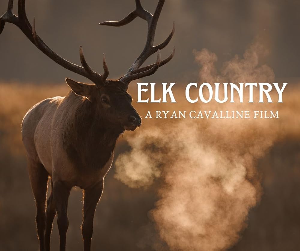 Elk Country 