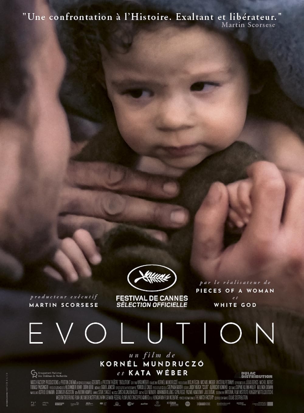 Evolution 
