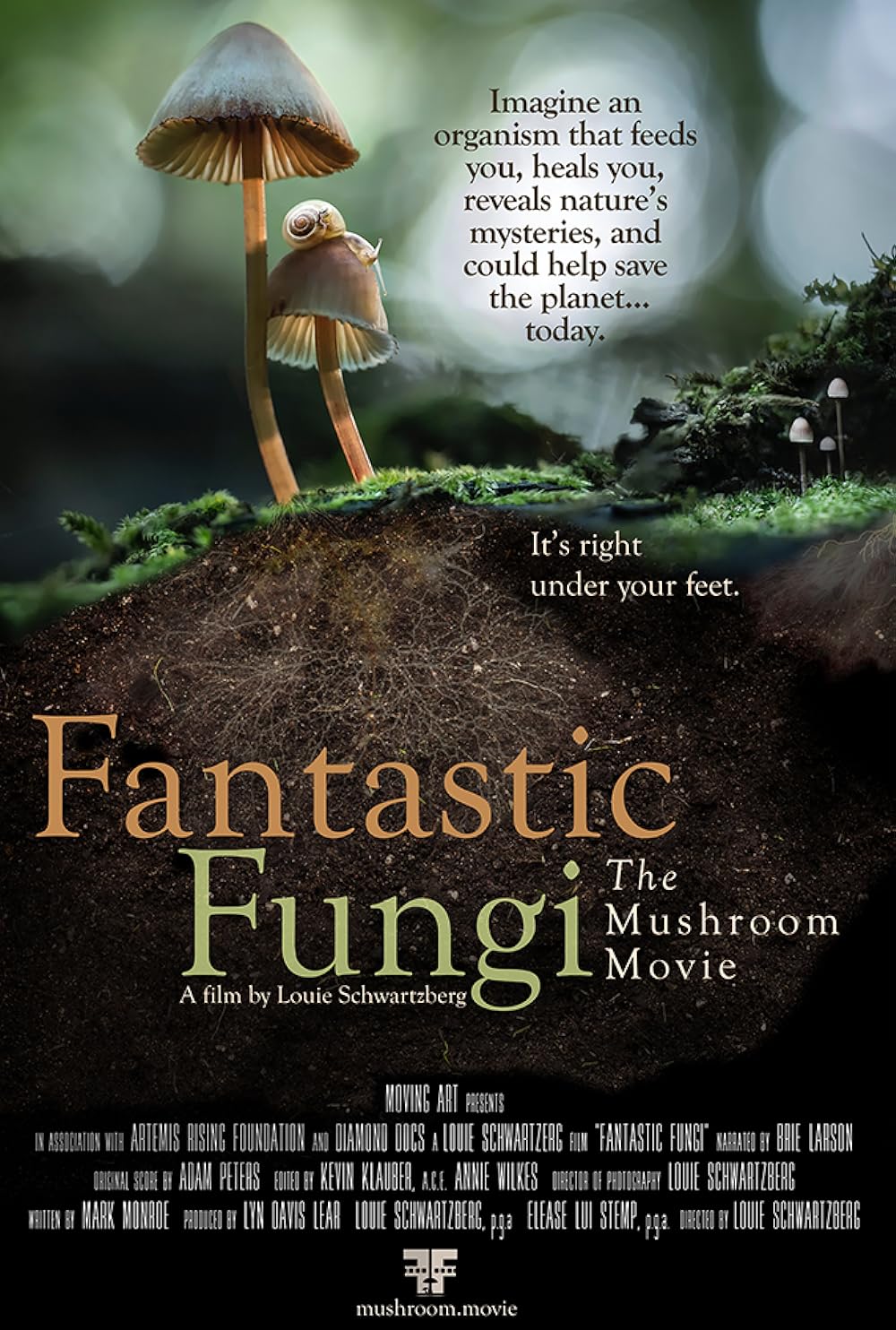 Fantastic Fungi 
