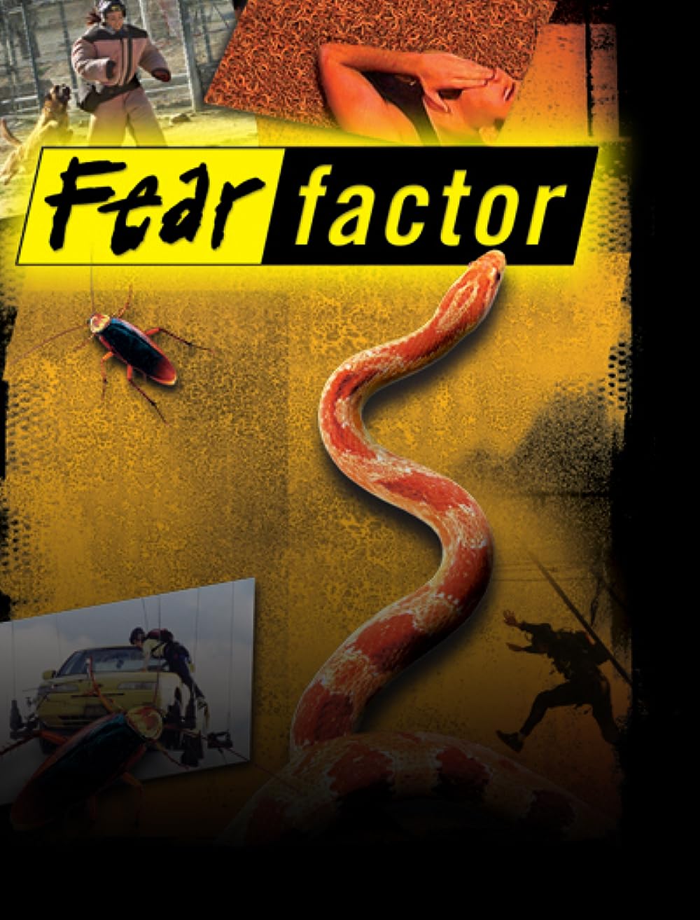 Fear Factor 