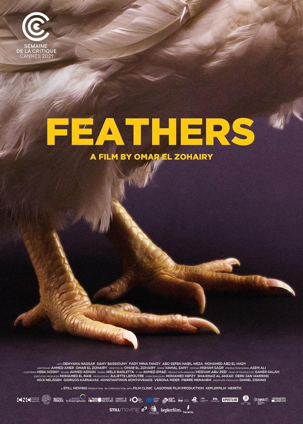 Feathers 