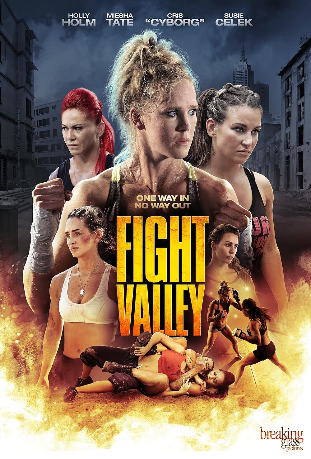 Fight Valley 