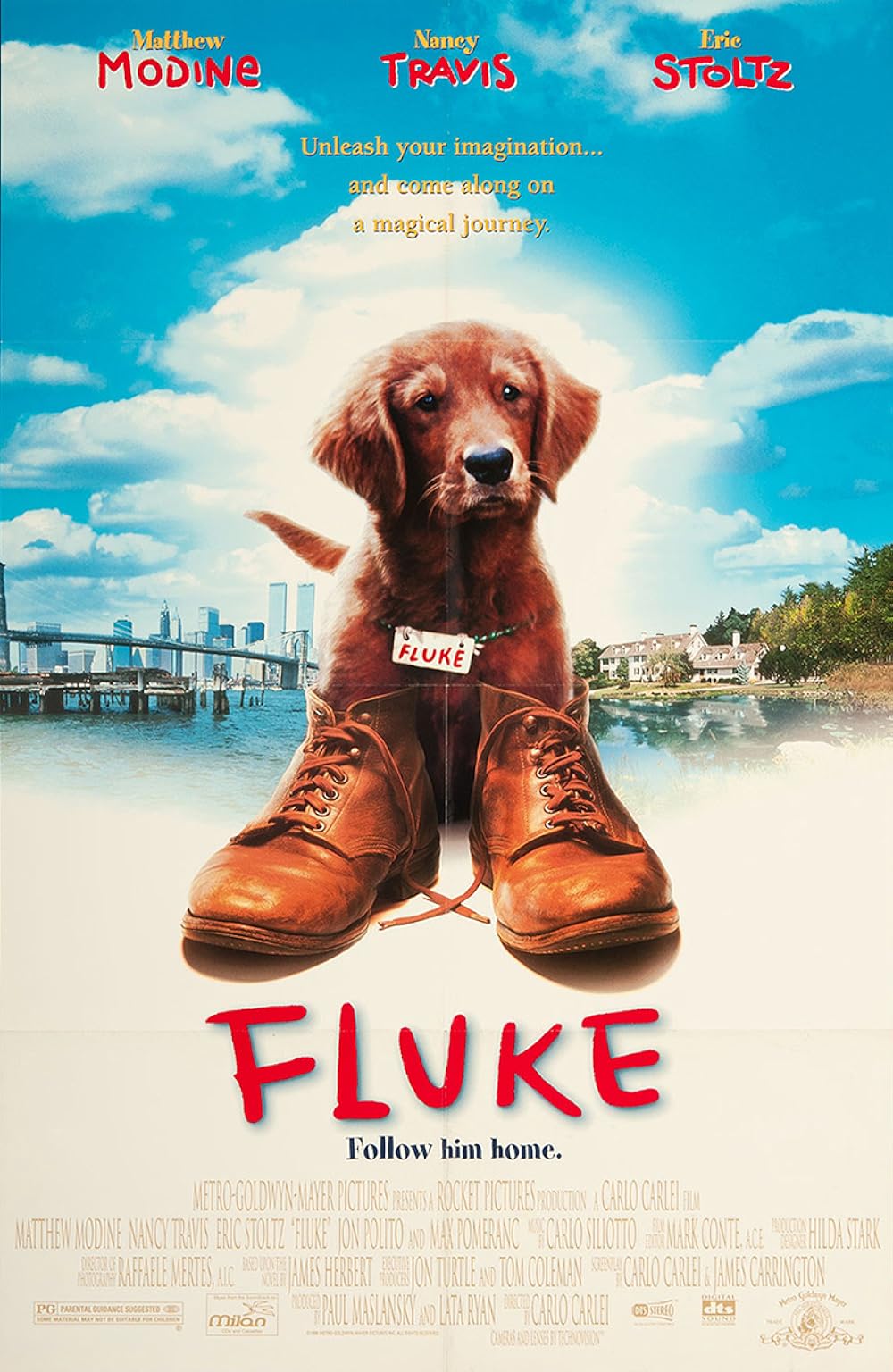 Fluke 