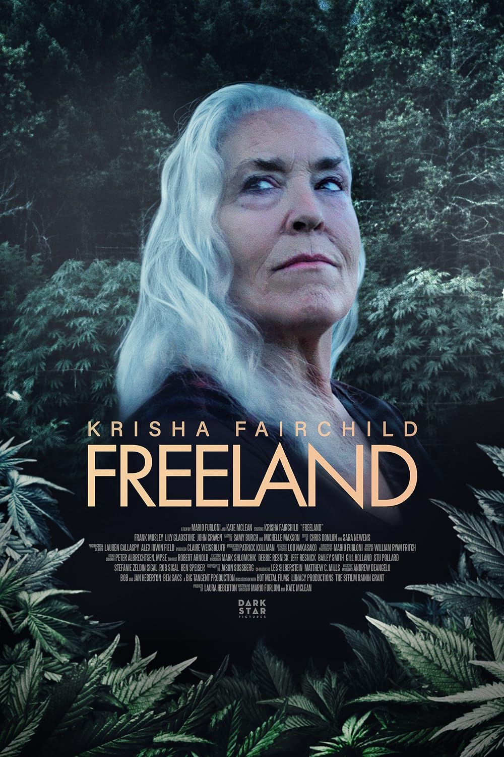 Freeland 