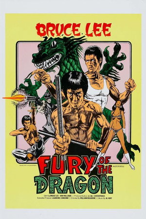 Fury of the Dragon 