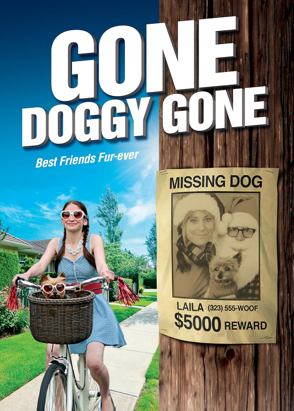 Gone Doggy Gone 