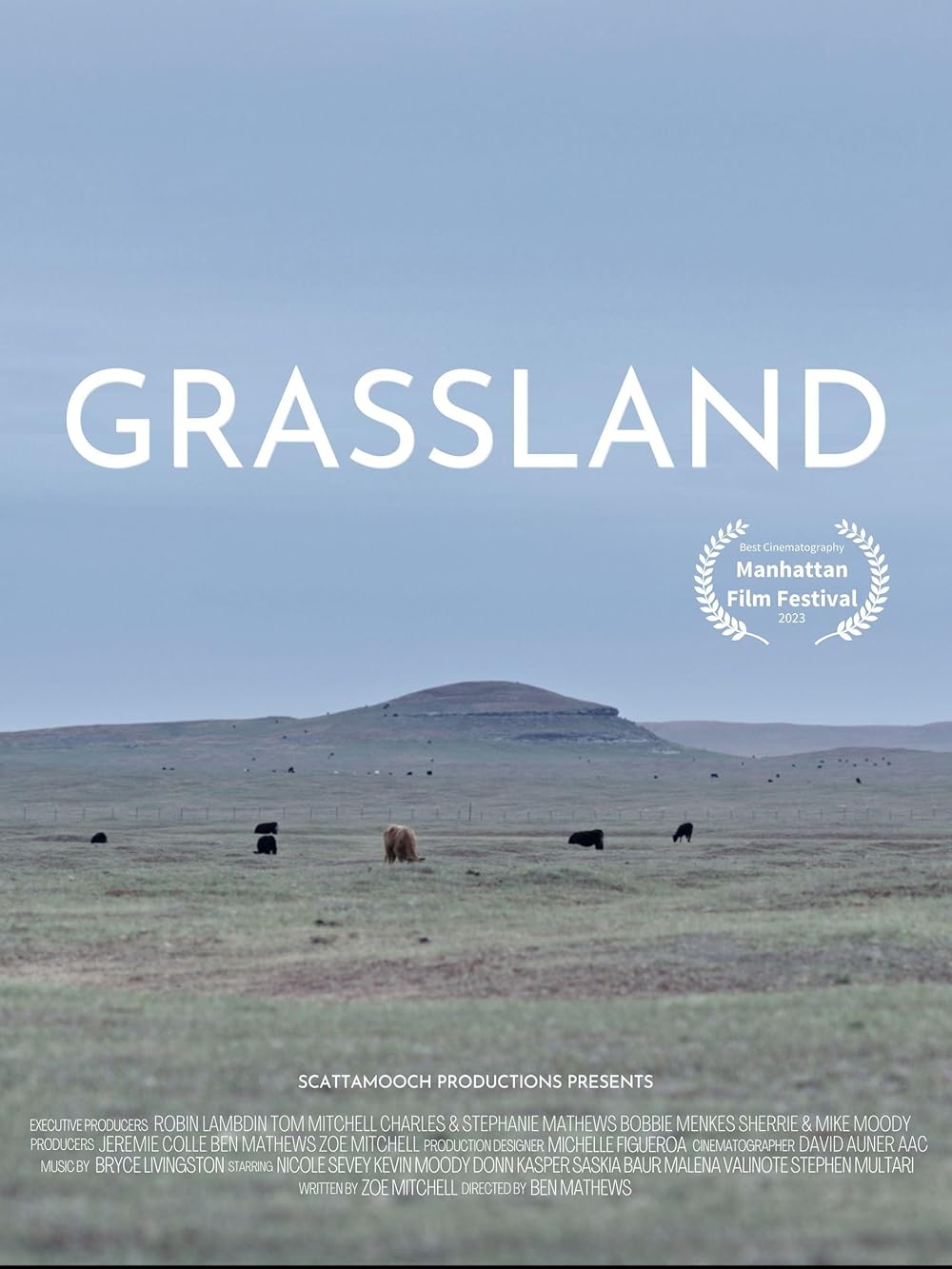 Grassland 