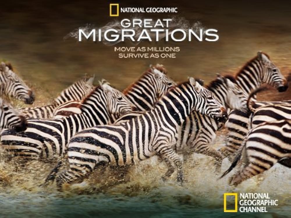 Great Migrations 