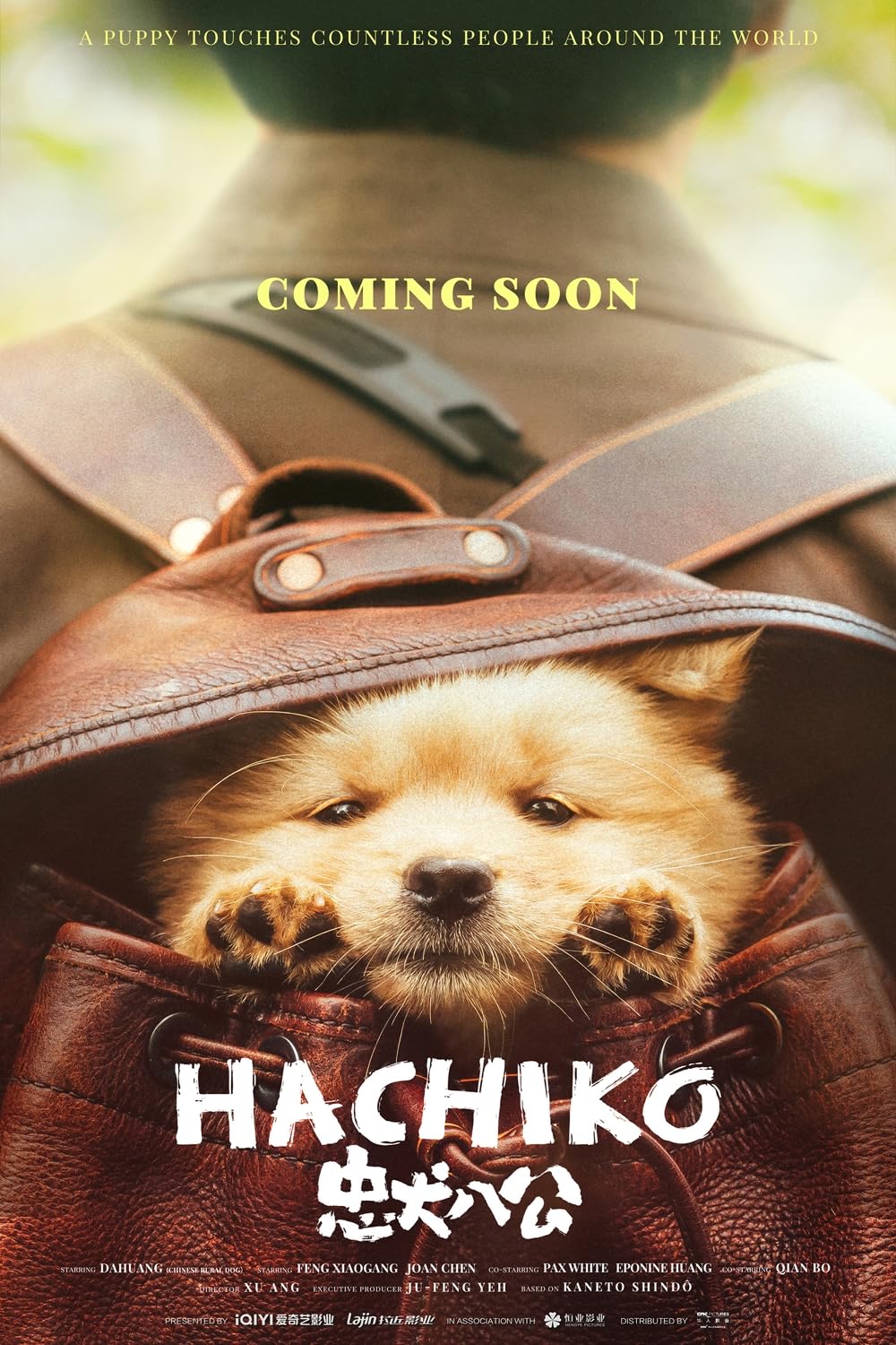 Hachiko 