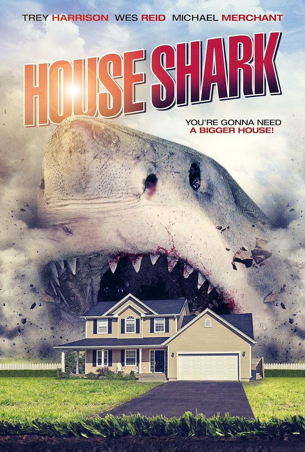 House Shark 