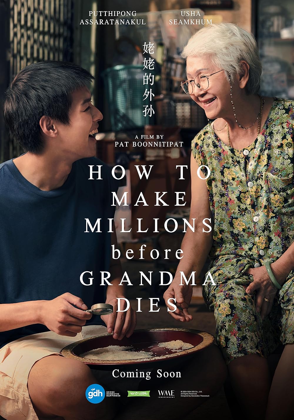 How to Make Millions Before Grandma Dies 