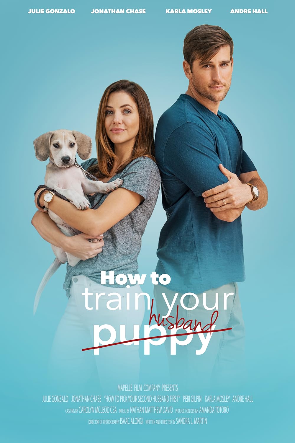 How to Train Your Husband or 