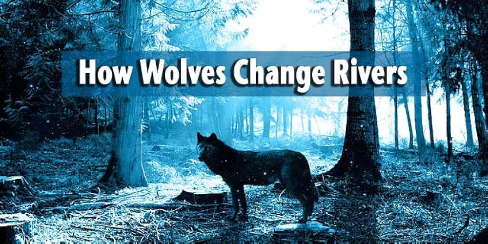 How Wolves Change Rivers 