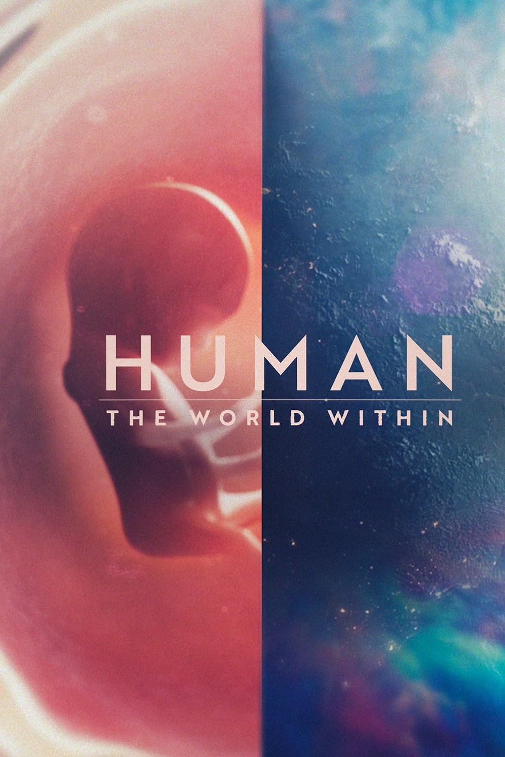 Human: The World Within 