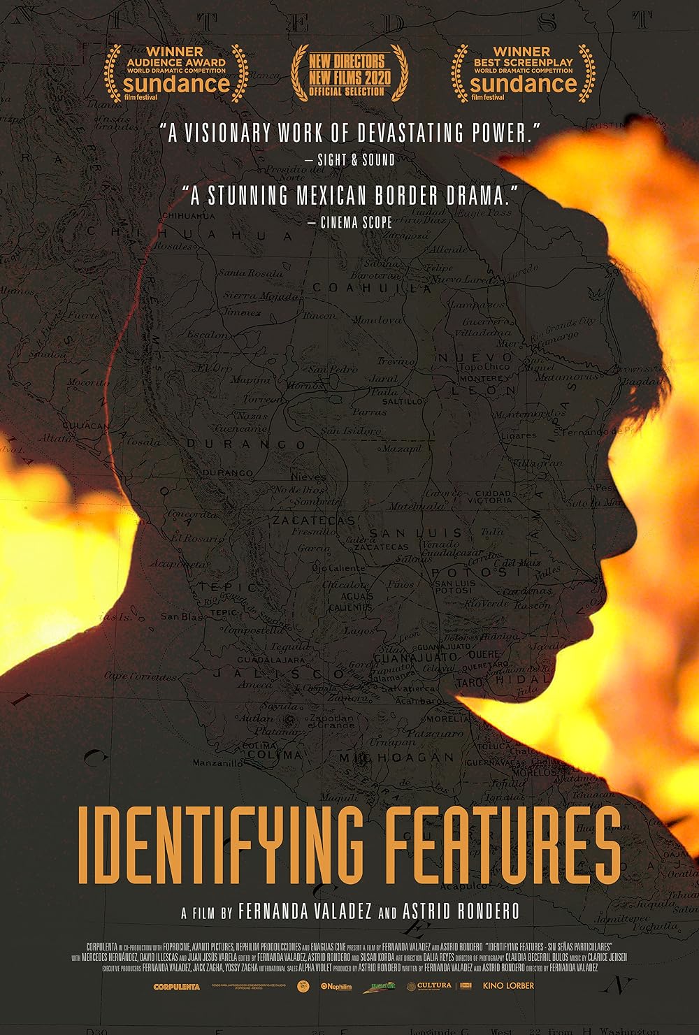 Identifying Features 