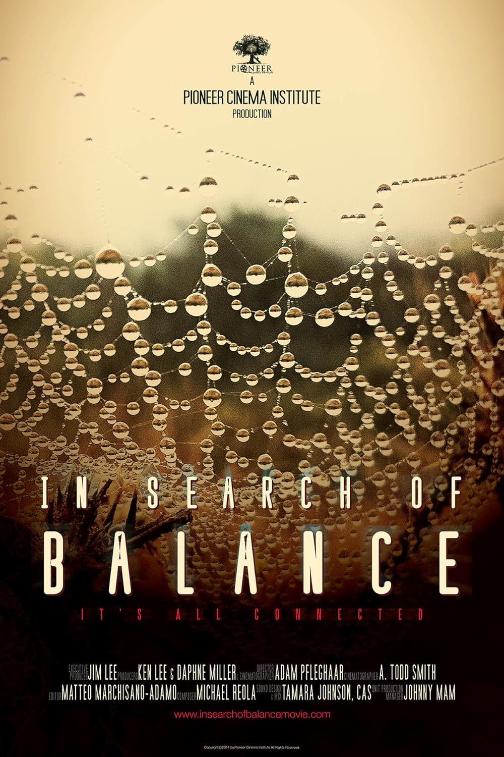 In Search of Balance 