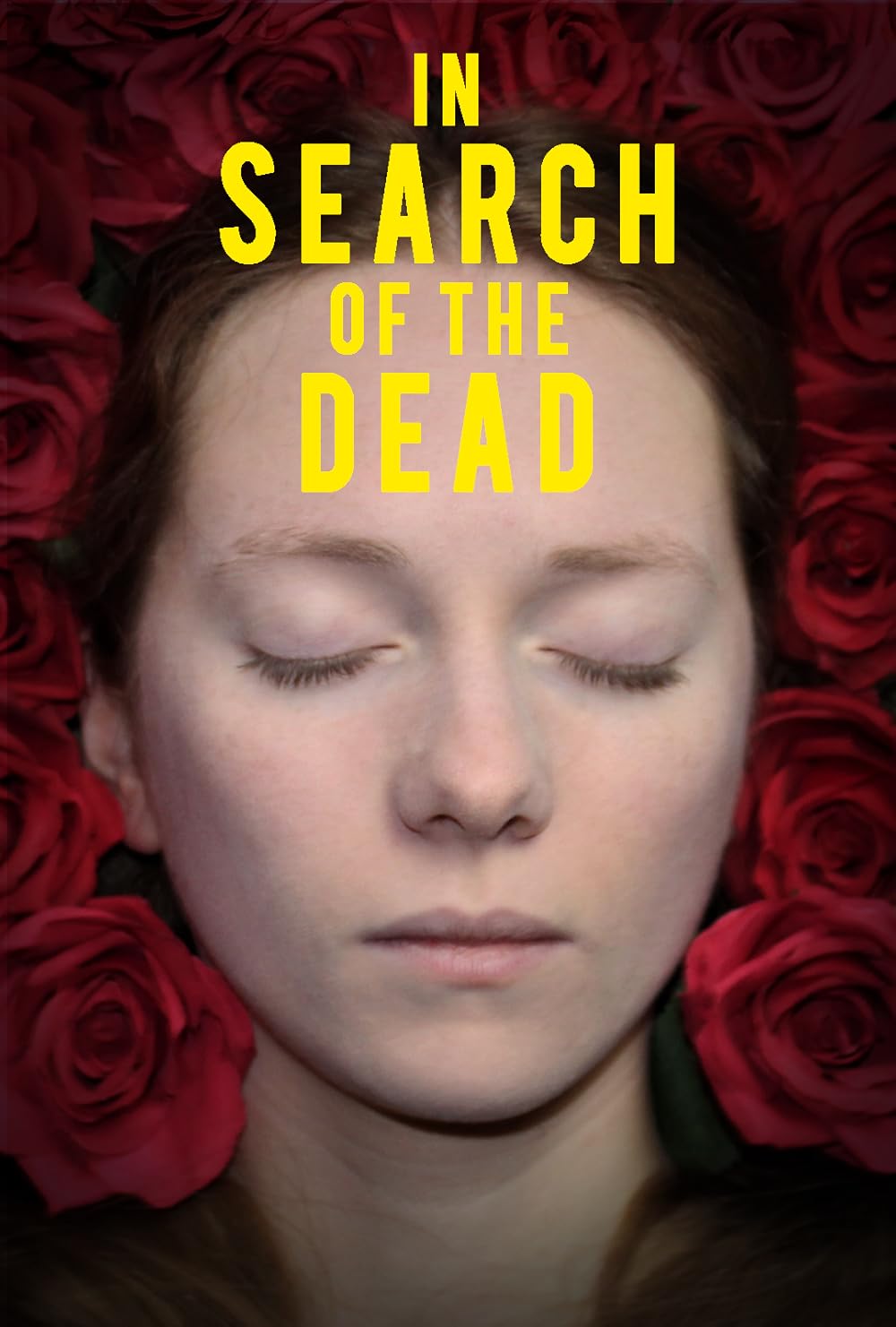 In Search of the Dead 