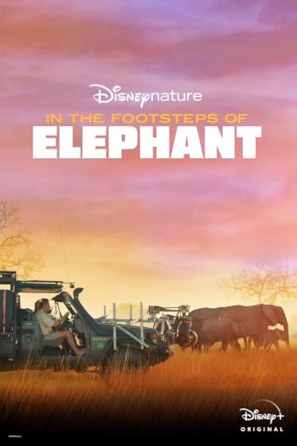 In the Footsteps of Elephant 