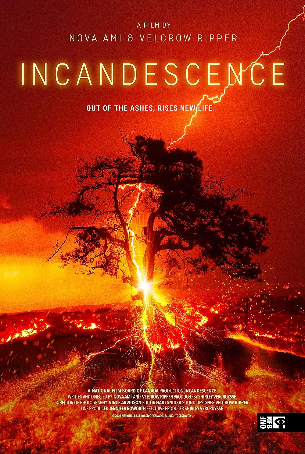 Incandescence 