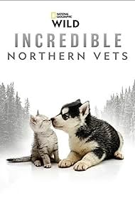Incredible Northern Vets 