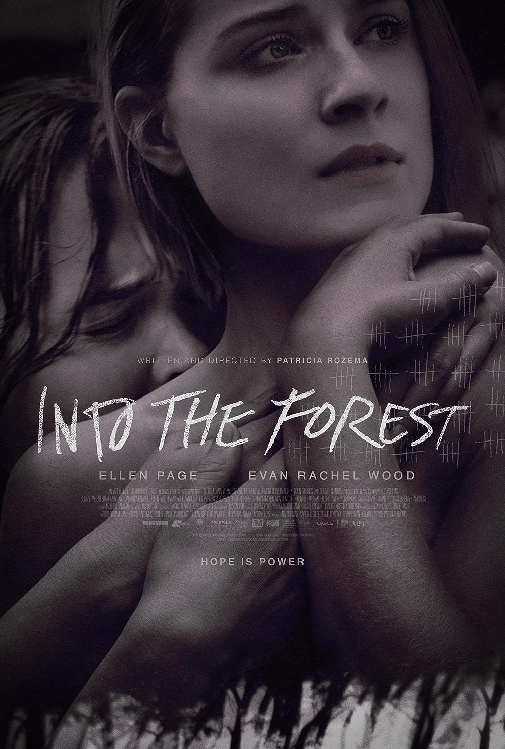 Into the Forest 