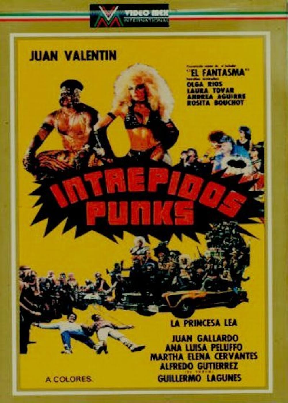 Intrépidos punks 