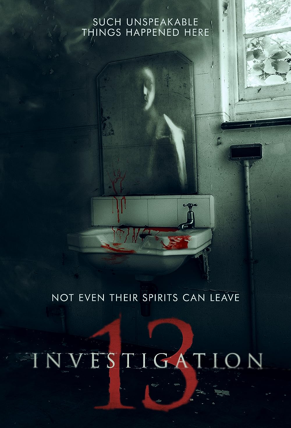 Investigation 13 
