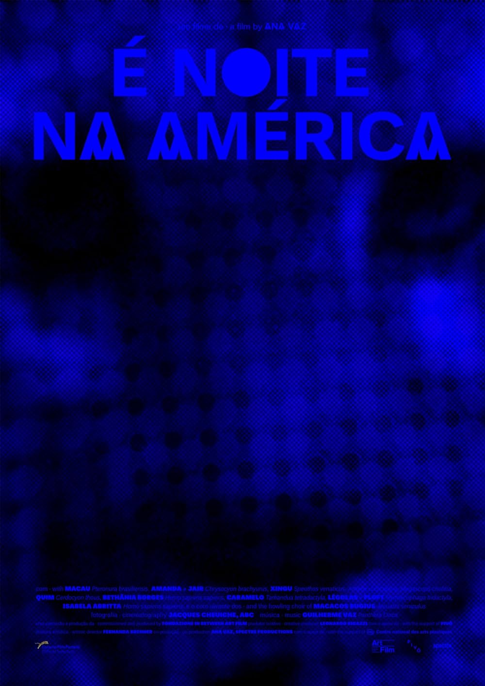 It Is Night in America 