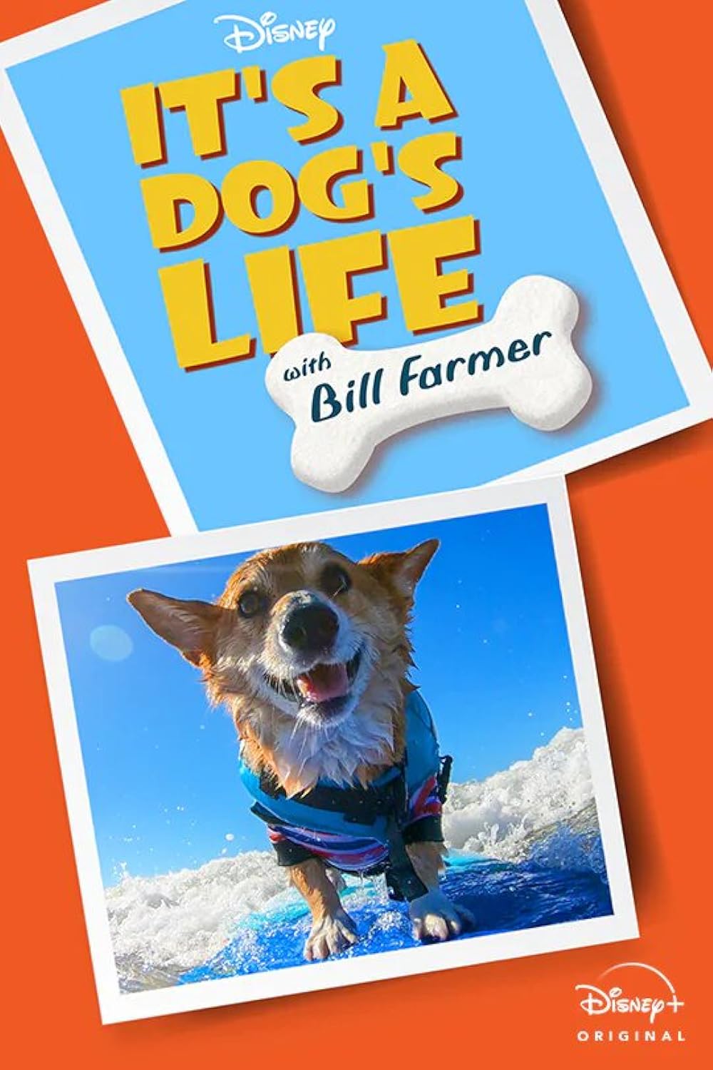 It's A Dog's Life 