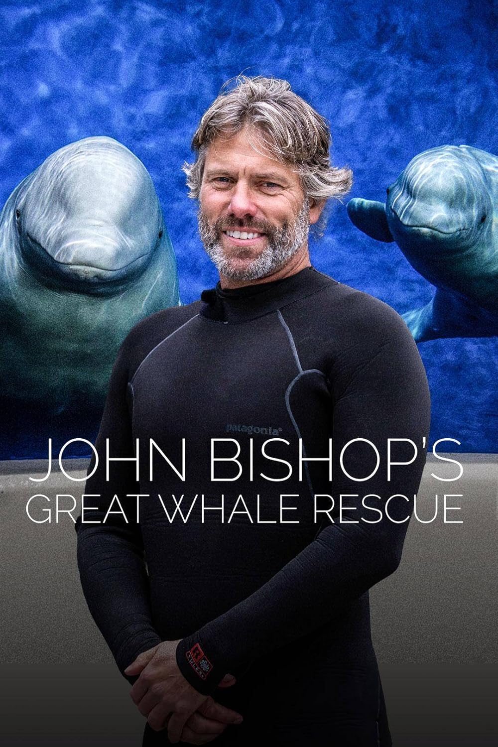 John Bishop's Great Whale Rescue 