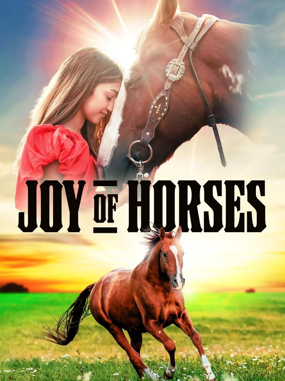 Joy of Horses 