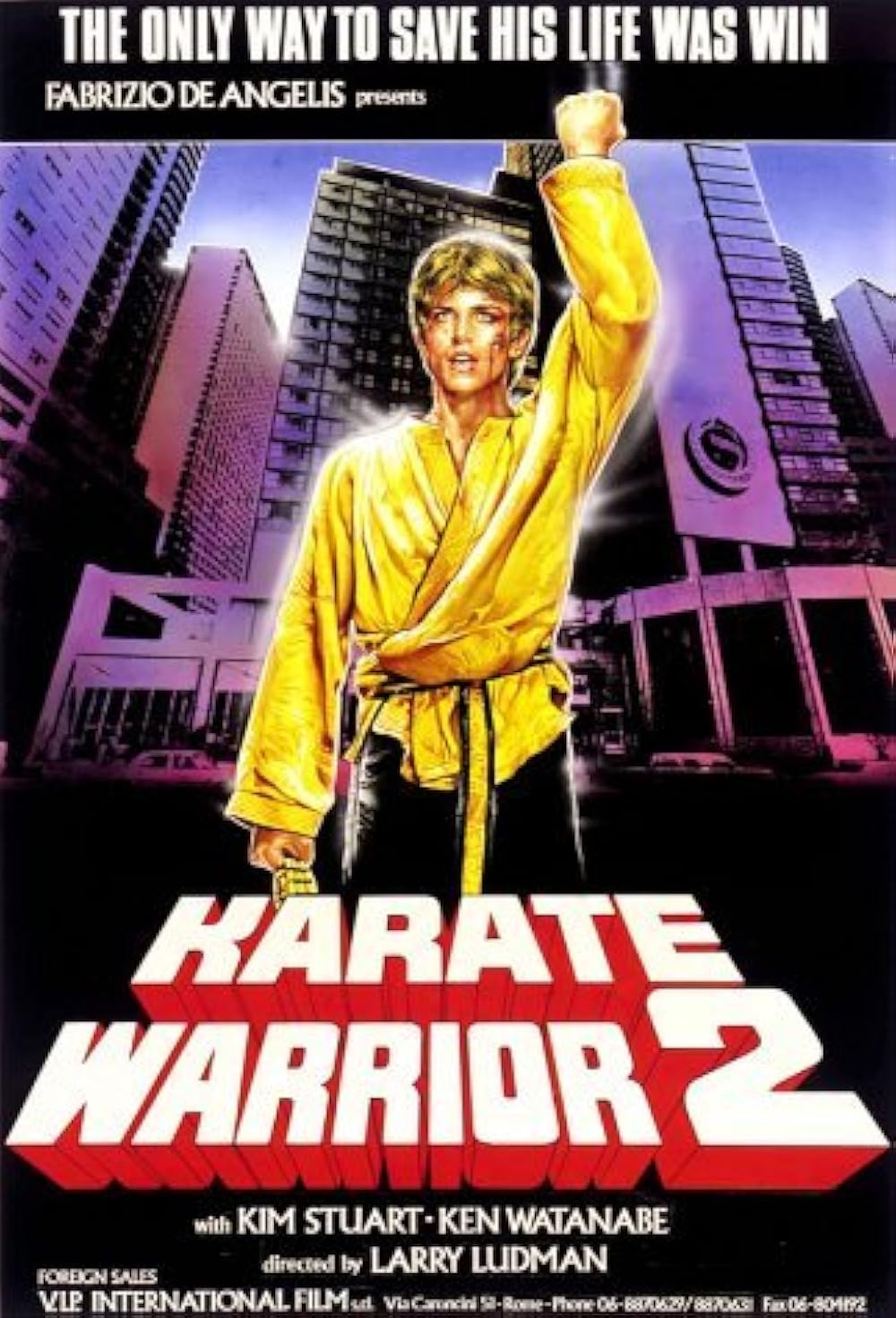 Karate Warrior 2 