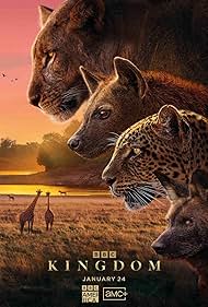 Kingdom 