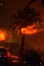 LA Firestorm: Inside the Inferno 