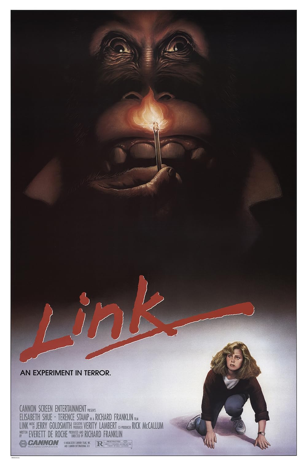 Link 