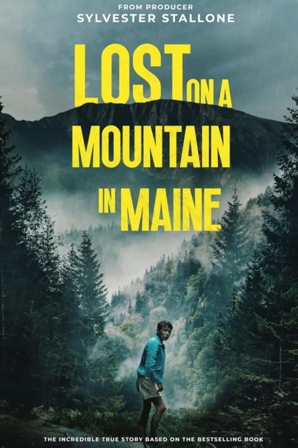 Lost on a Mountain in Maine 
