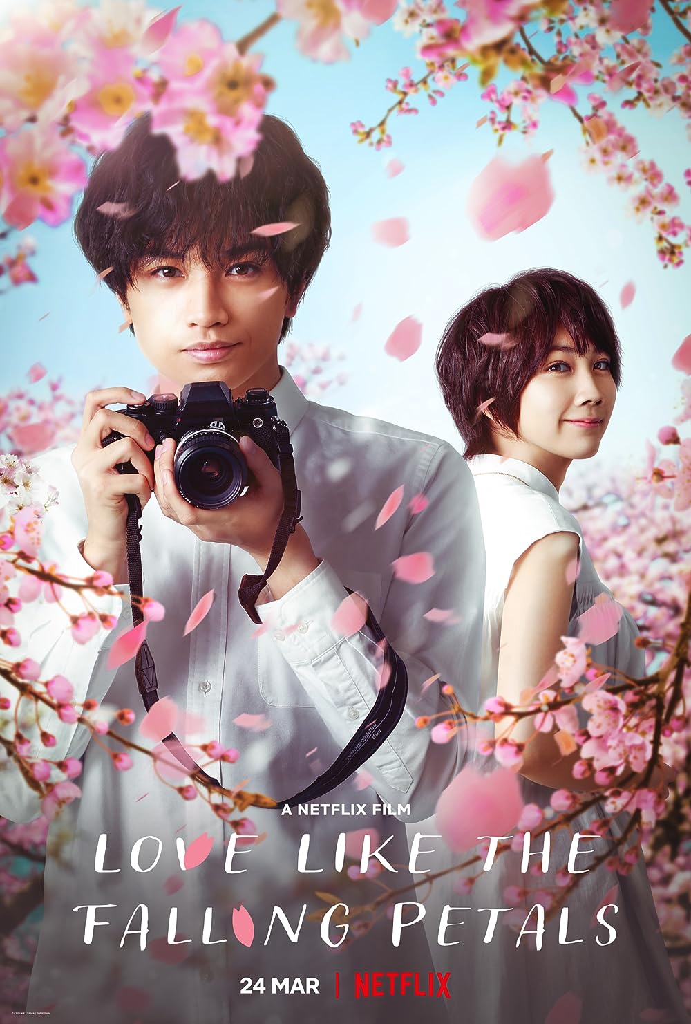 Love Like the Falling Petals 
